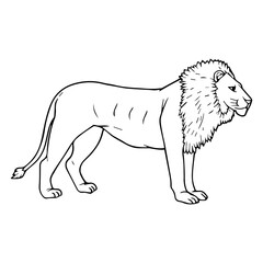 lion line vector illustration