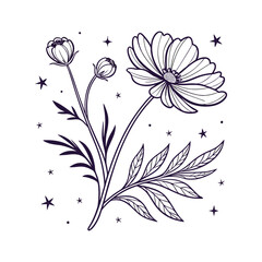 black and white drawing of a flower  with stars