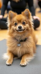 A fluffy dog smiles sweetly. AI.