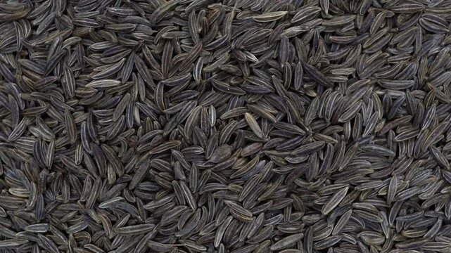 Aromatic cumin in the bag. Caraway seeds. Healthy eating and lifestyle. Slow rotation