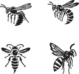 High-Quality Vector Silhouettes of the Orange-tailed Wasp in Monochrome Art Style