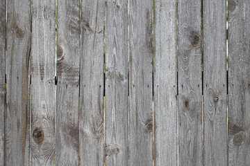 gray old wooden fence background, texture