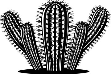cactus illustration