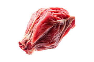 Fresh chicken or turkey thigh isolated on white transparent background.