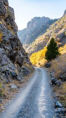 Naklejka premium Scenic autumn dirt road winding through a mountain canyon with golden aspen trees.