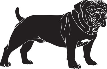 Detailed Dachshund Silhouette Artistic Canine Vector