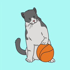 Cat Playing a Ball