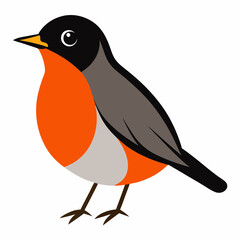 american robin vector
