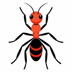 vector illustration of an ant