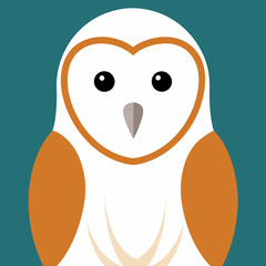barn owl vector illustration
