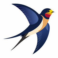 barn swallow vector