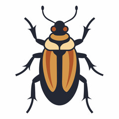 vector beetle isolated