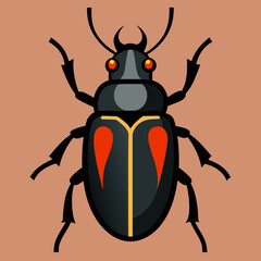 beetle vector