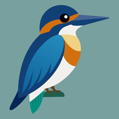 illustration of a belted kingfisher bird