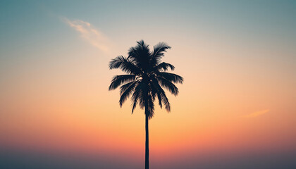 A shot of a tall singular palm tree against the sky while the sun is setting in orange and pink. The shot should be dreamy and vintage, realistic immediacy of documentary style,