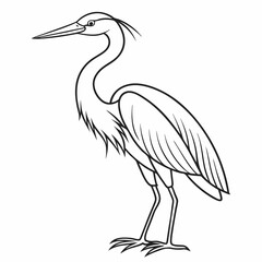 bird coloring page ,kids coloring page , coloring page for kids, animal coloring page, KDP, Animal Coloring Page For Kids