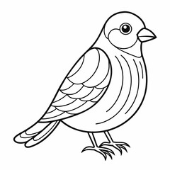 bird coloring page ,kids coloring page , coloring page for kids, animal coloring page, KDP, Animal Coloring Page For Kids