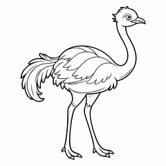 bird coloring page ,kids coloring page , coloring page for kids, animal coloring page, KDP, Animal Coloring Page For Kids