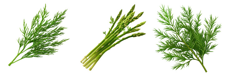 Fototapeta premium Fresh herbs and asparagus arranged beautifully, perfect for culinary use