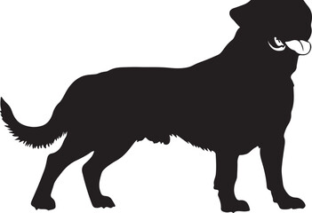 Labrador Retriever Silhouette: Majestic Canine Vector