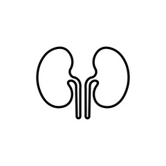 Human kidneys icon Thin line art isolated