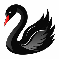 Fototapeta premium black swan vector art