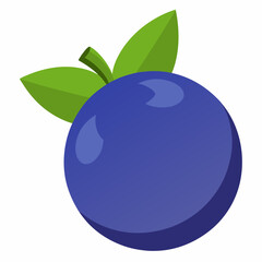 blueberry vector