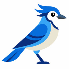 blue jay bird vector