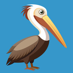 Brown Pelican Vector