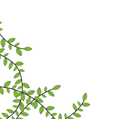 Green Leaf Vine Corner