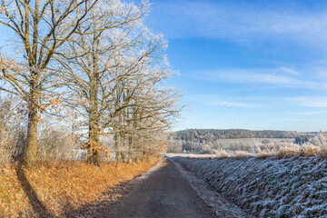 A dirt road in the countryside. A cold winter morning in Central Europe.