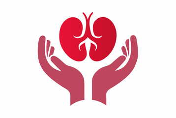 Obraz premium Hands with human kidneys symbol vector art illustration.