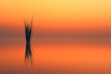 Fototapeta premium Lone reed standing in calm water at sunset with orange hues