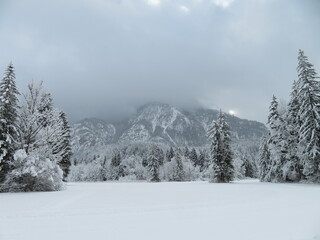 Naklejka premium Winterlandschaft Schwanseepark Füssen