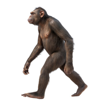 Australopithecus AI Generated Image