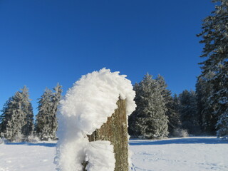 Frostige Impressionen