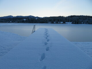 Trübe Winterlandschaft
