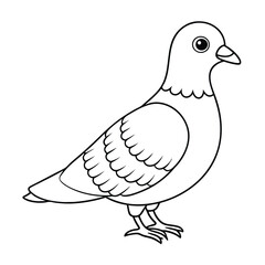  cute pigeon outline design for kids coloring book