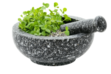 Fresh herbs nestled in a granite mortar, ready for culinary creativity in the kitchen