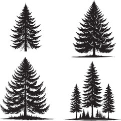 High-Quality Four Set of Monochrome Vector Silhouettes of the Douglas Fir Tree