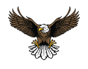 eagle artwork 