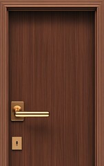 Modern interior wooden door with gold handle and keyhole.