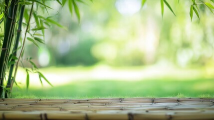 Cane plantation featuring lush green grass and bamboo in a bright daylight setting with excellent detail and clarity