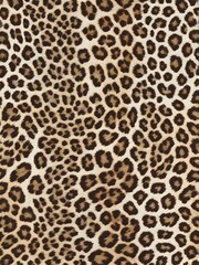 Leopard tiger skin seamless pattern texture print on white background