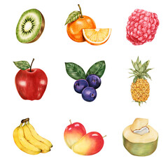 Summer fruits illustration png sticker set