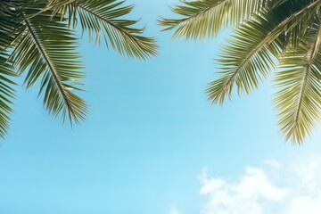 Tropical palm branches creating a frame against a bright blue sky, evoking a sense of summer vacation and relaxation