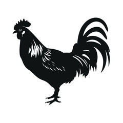Sustainably Raised Chicken In Species-Appropriate Free-Range Husbandry