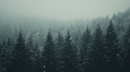 Ethereal Snowy Forest Landscape with Falling Snow in Foggy Atmosphere.