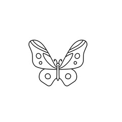 hand drawn butterfly line icon