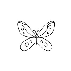 hand drawn butterfly line icon